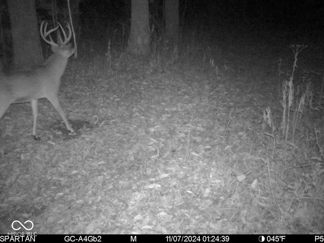 $1,799,000 | 0 West 550th South, Rockville, IN 47872