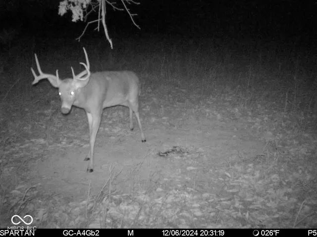 $1,799,000 | 0 West 550th South, Rockville, IN 47872