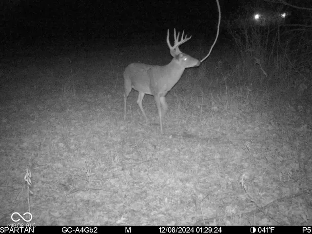 $1,799,000 | 0 West 550th South, Rockville, IN 47872