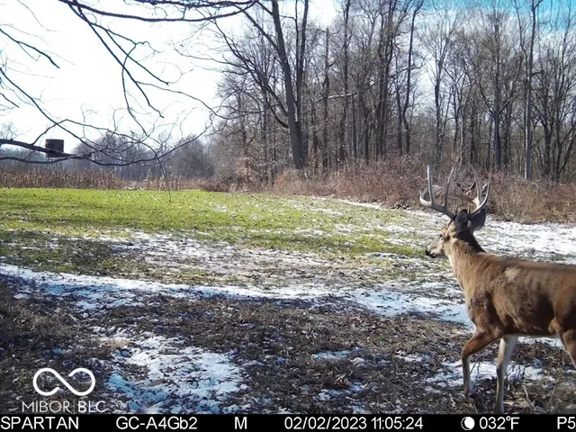 $1,799,000 | 0 West 550th South, Rockville, IN 47872