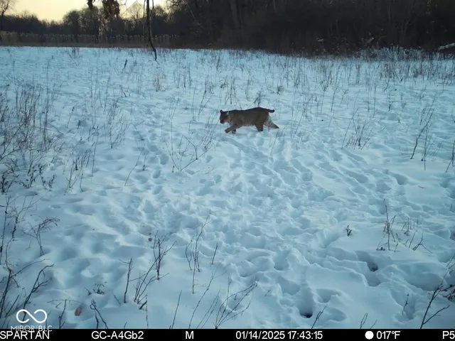 $1,799,000 | 0 West 550th South, Rockville, IN 47872