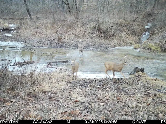 $1,799,000 | 0 West 550th South, Rockville, IN 47872