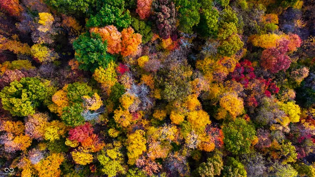 $1,799,000 | 0 West 550th South, Rockville, IN 47872