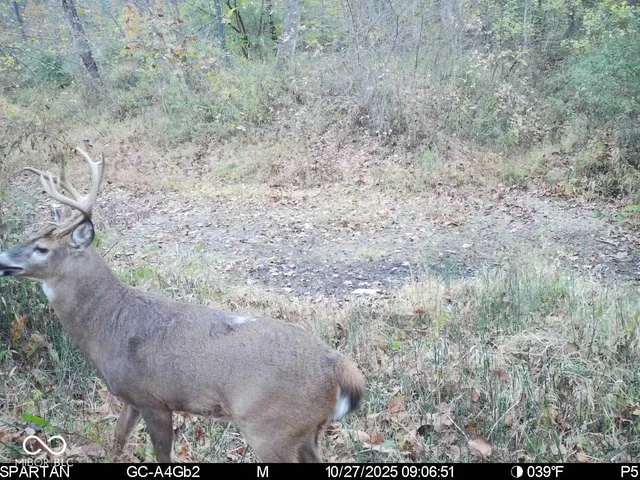 $1,799,000 | 0 West 550th South, Rockville, IN 47872