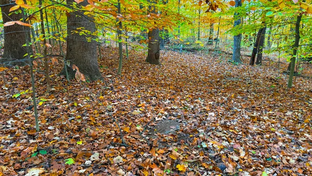 $1,799,000 | 0 West 550th South, Rockville, IN 47872