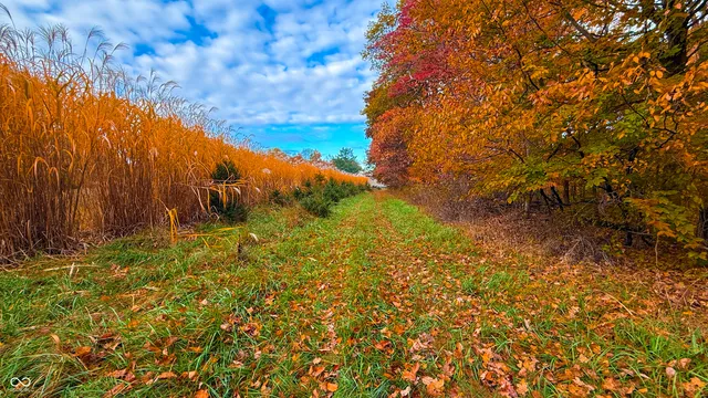 $1,799,000 | 0 West 550th South, Rockville, IN 47872