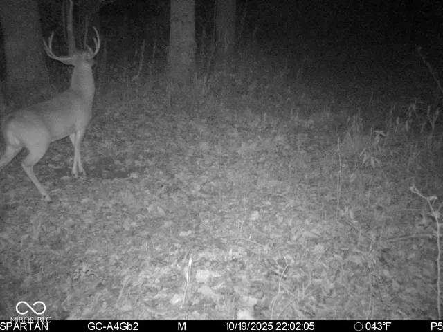 $1,799,000 | 0 West 550th South, Rockville, IN 47872