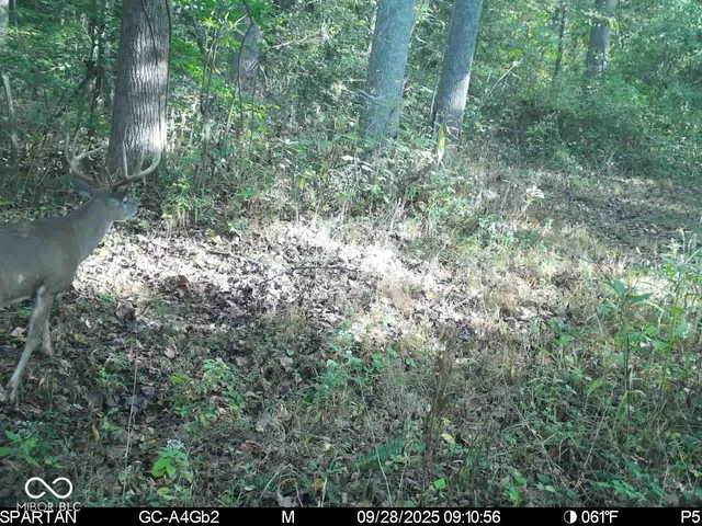 $1,799,000 | 0 West 550th South, Rockville, IN 47872