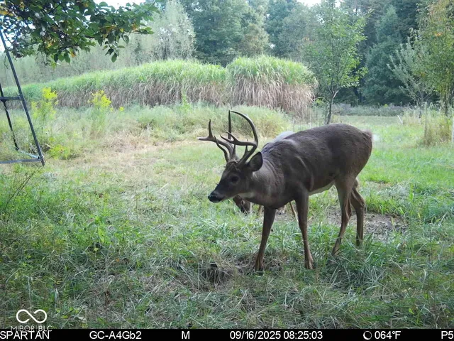 $1,799,000 | 0 West 550th South, Rockville, IN 47872