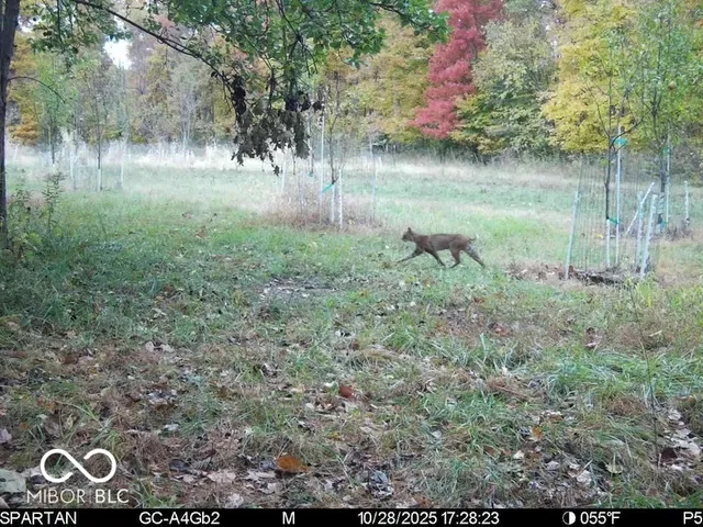 $1,799,000 | 0 West 550th South, Rockville, IN 47872