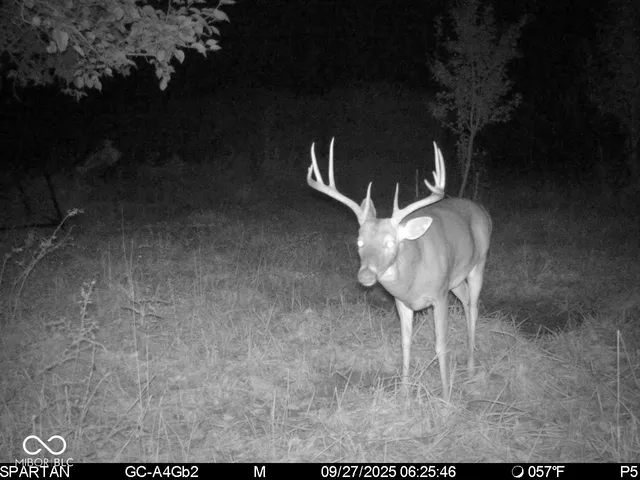 $1,799,000 | 0 West 550th South, Rockville, IN 47872