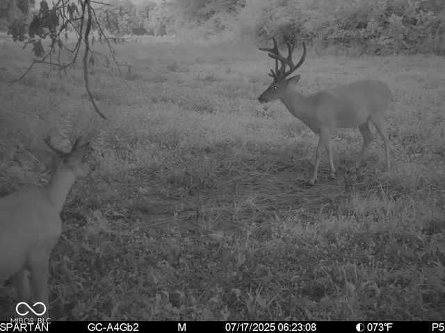 $1,799,000 | 0 West 550th South, Rockville, IN 47872