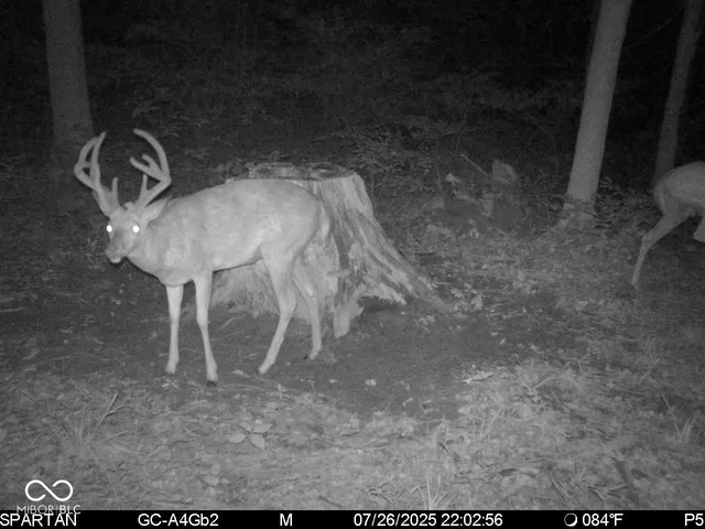 $1,799,000 | 0 West 550th South, Rockville, IN 47872