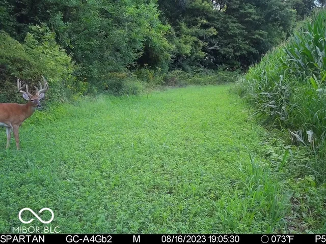 $1,799,000 | 0 West 550th South, Rockville, IN 47872