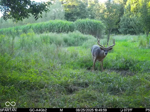 $1,799,000 | 0 West 550th South, Rockville, IN 47872