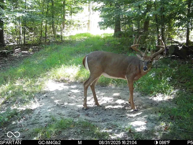 $1,799,000 | 0 West 550th South, Rockville, IN 47872