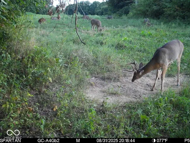 $1,799,000 | 0 West 550th South, Rockville, IN 47872