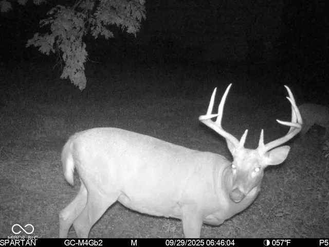 $1,799,000 | 0 West 550th South, Rockville, IN 47872