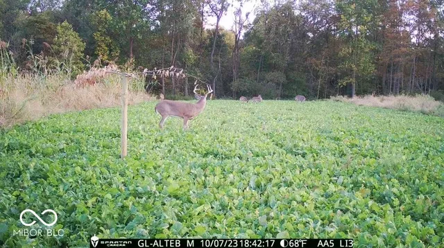 $1,799,000 | 0 West 550th South, Rockville, IN 47872