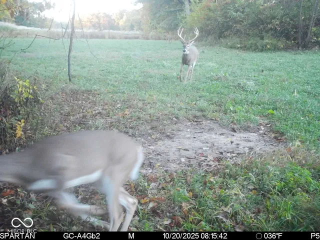 $1,799,000 | 0 West 550th South, Rockville, IN 47872