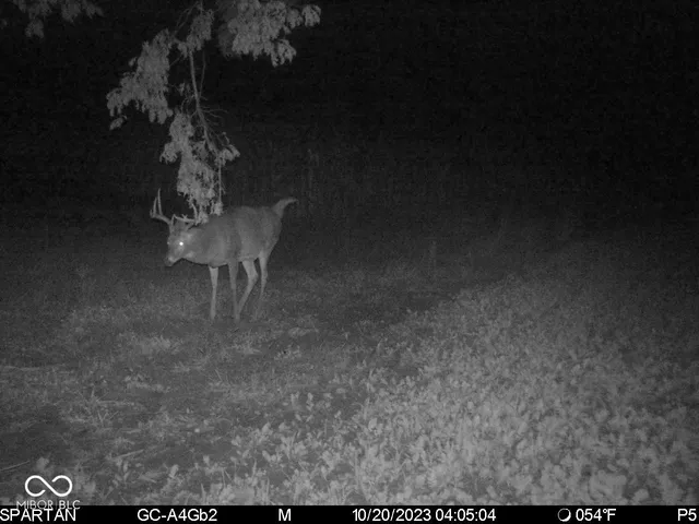 $1,799,000 | 0 West 550th South, Rockville, IN 47872