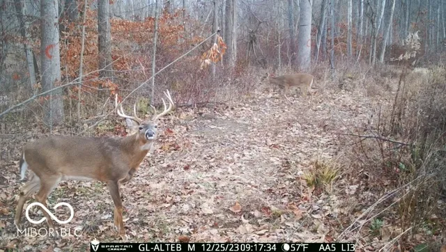 $1,799,000 | 0 West 550th South, Rockville, IN 47872