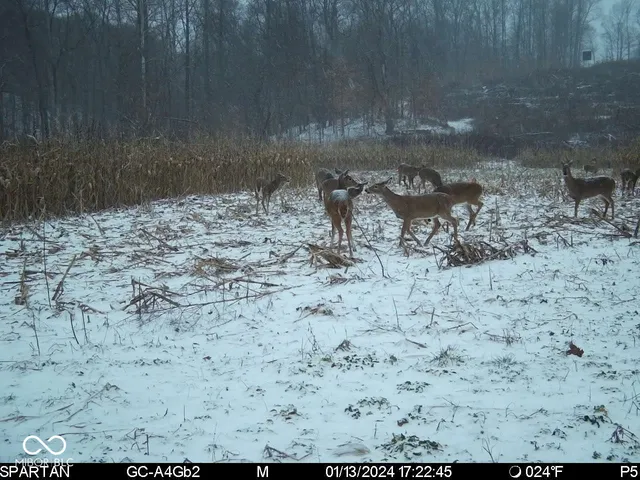 $1,799,000 | 0 West 550th South, Rockville, IN 47872