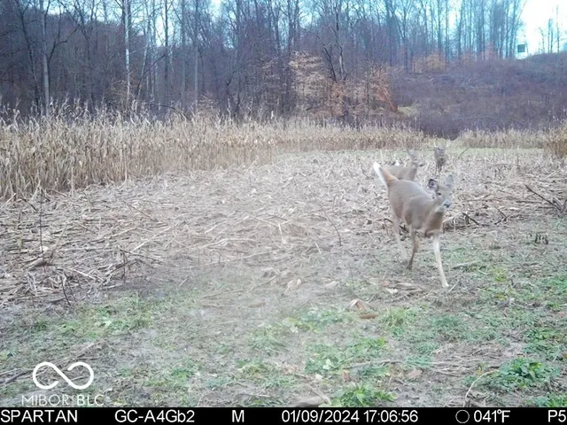 $1,799,000 | 0 West 550th South, Rockville, IN 47872