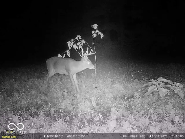 $1,799,000 | 0 West 550th South, Rockville, IN 47872