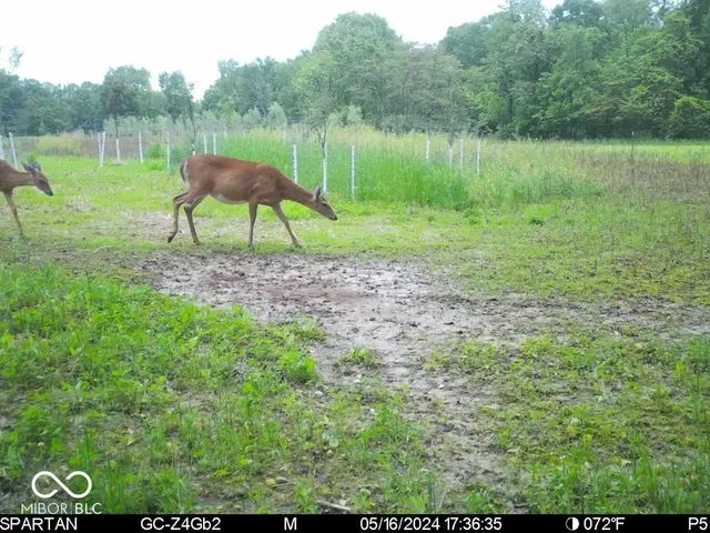 $1,799,000 | 0 West 550th South, Rockville, IN 47872