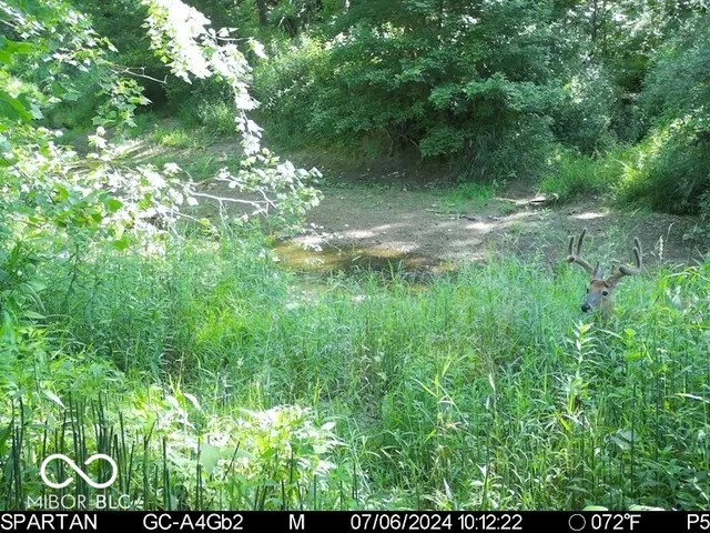 $1,799,000 | 0 West 550th South, Rockville, IN 47872