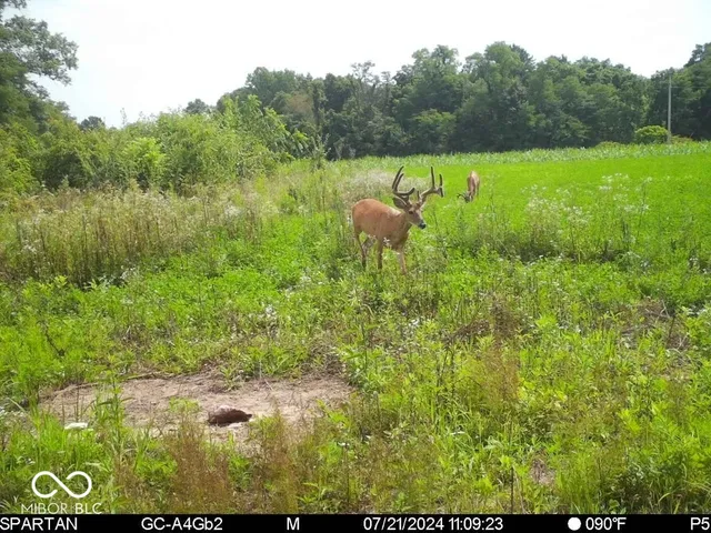 $1,799,000 | 0 West 550th South, Rockville, IN 47872