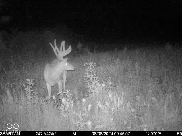 $1,799,000 | 0 West 550th South, Rockville, IN 47872