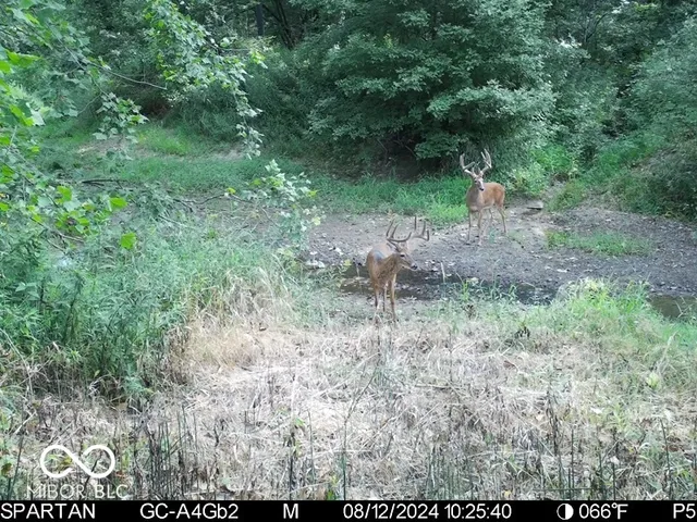 $1,799,000 | 0 West 550th South, Rockville, IN 47872