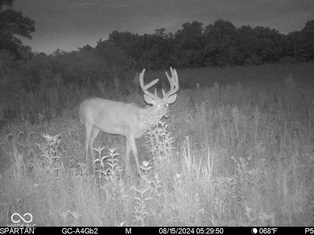 $1,799,000 | 0 West 550th South, Rockville, IN 47872