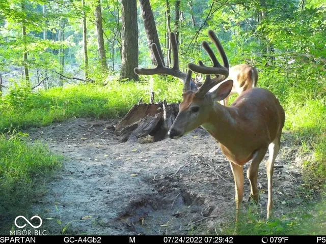 $1,799,000 | 0 West 550th South, Rockville, IN 47872