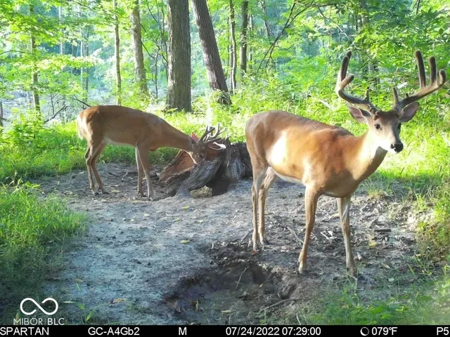 $1,799,000 | 0 West 550th South, Rockville, IN 47872