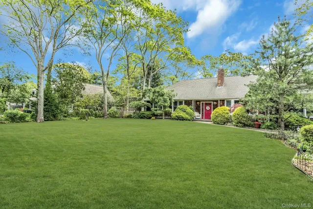 a view of a back yard