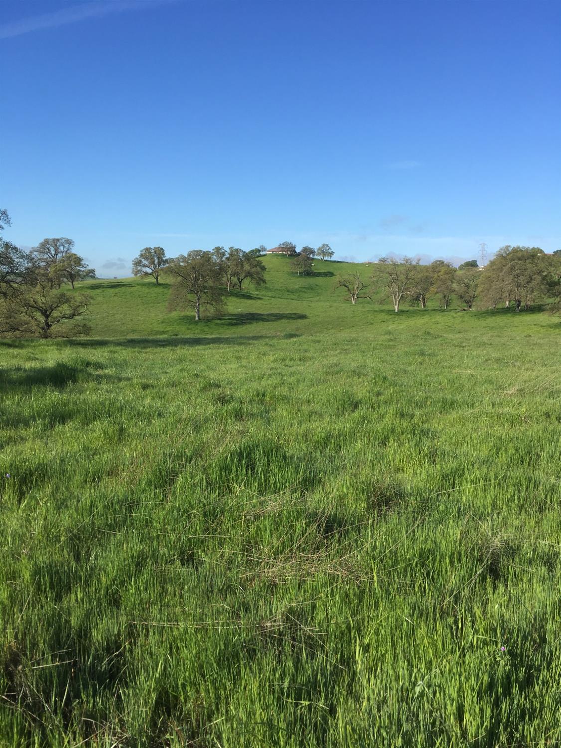 a view of a lush green space with sea
