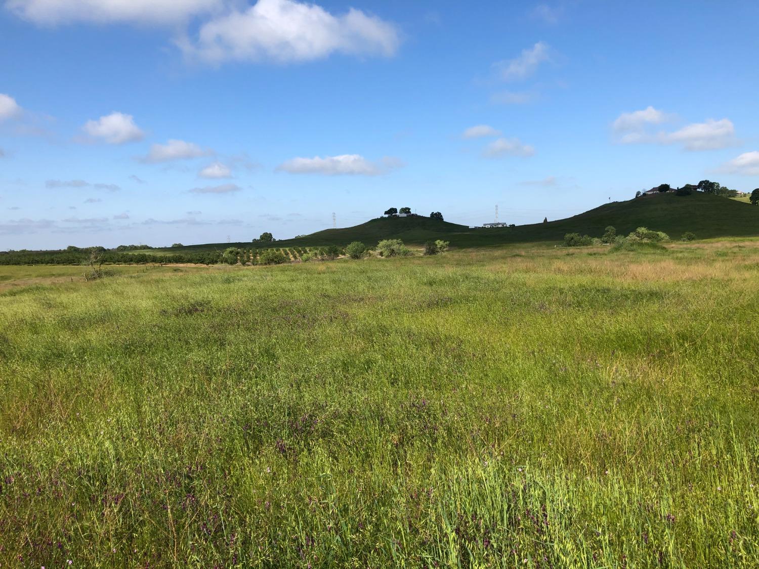 10232 Gregory Road Linden, CA 95236 - Photo 2 of 8 a view of an ocean and a mountain