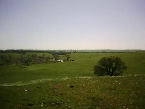a view of an ocean from a yard