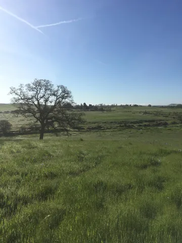 a view of a lake with a mountain