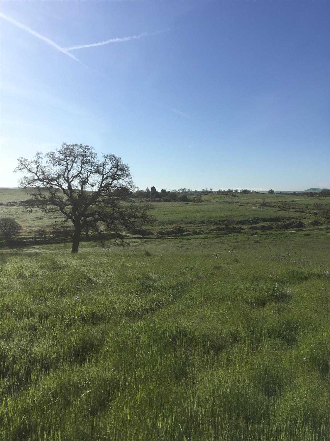 10232 Gregory Road Linden, CA 95236 - Photo 4 of 8 a view of a lake with a mountain