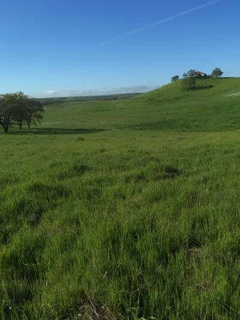 a view of a field with an ocean