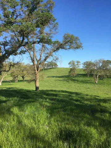 a view of a golf course with a lake