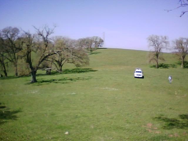 10232 Gregory Road Linden, CA 95236 - Photo 7 of 8 a view of a field with an trees