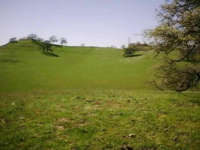 10232 Gregory Road Linden, CA 95236 - Photo 8 of 8 a view of an ocean from a yard