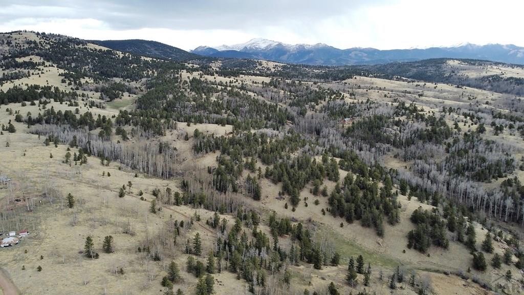 0 County Road Victor, CO 80860 - Photo 3 of 21