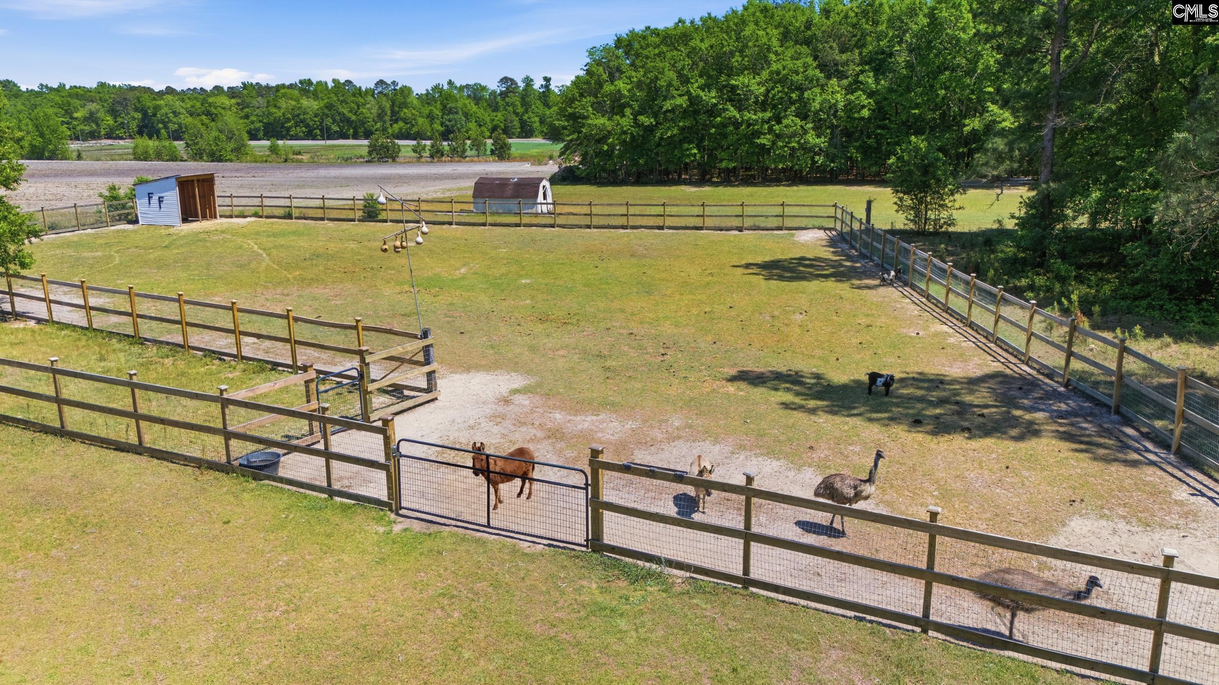 695 Hartzog Road Barnwell, SC 29812 - Photo 59 of 75
