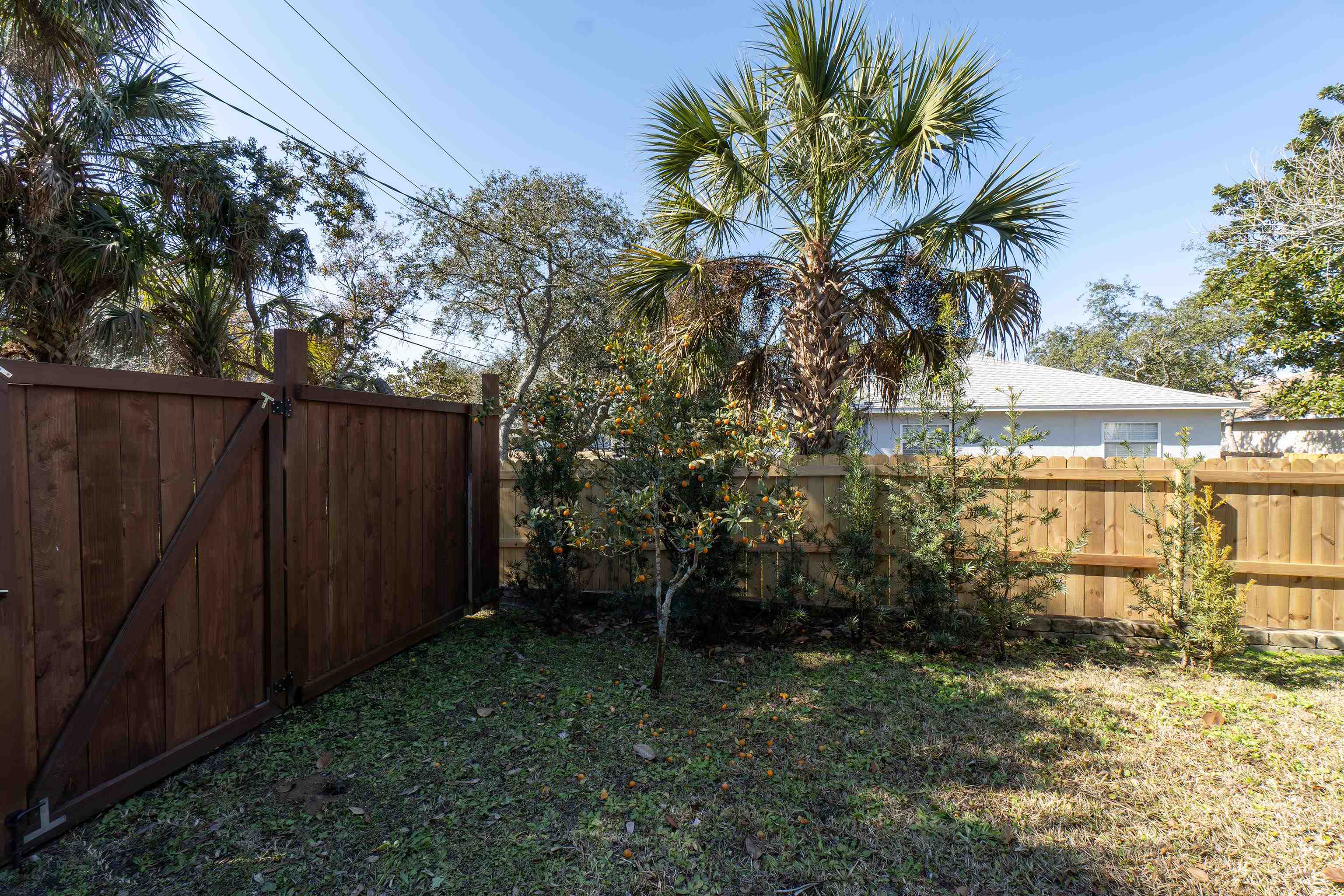 240 Micklers Road St. Augustine, FL 32080 - Photo 22 of 74 a view of backyard of house